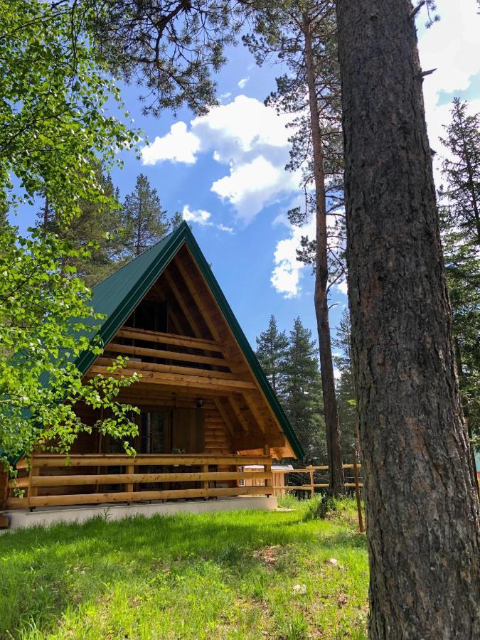 The Pine Forest Cottage Žabljak Exteriér fotografie
